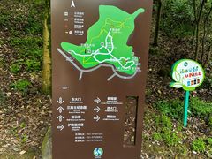 -上海佘山国家森林公园天马山园