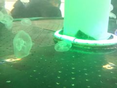 -唱吧麦颂KTV(东胜港悦广场店)