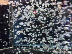 -太平洋海底世界