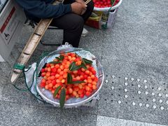 -陈建平麻花(磁器口总店)