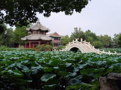 -莲池书院博物馆