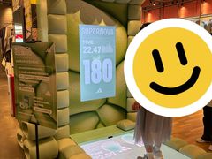 -adidas(正佳广场店)