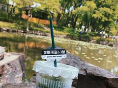 -苏州公园(双塔街道)