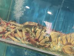 -蓝珊瑚蒸汽海鲜餐厅(龙奥店)