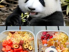-成都欢乐谷