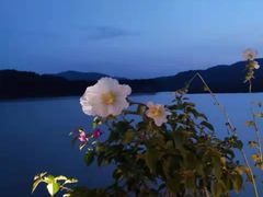 -阆辣荟餐饮(老味道8年·古城店)