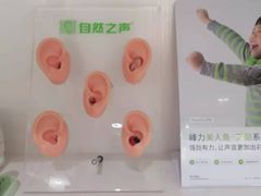 -自然之声助听器·呼吸机(贵定店)