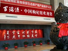 -百瑞源枸杞(玉皇阁店)