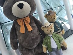 -济州岛泰迪熊博物馆