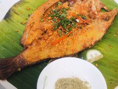 -美奈小馆·东南亚菜(福田星河COCO Park店)