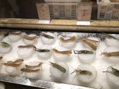 -雍和会海鲜姿造自助(湖东路店)