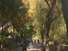 -文瀛公园