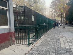 -保定市动物园