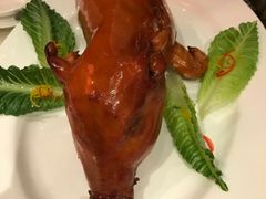 乳猪-8餐厅(新葡京酒店)