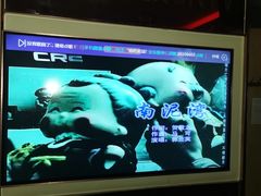 -唱吧麦颂KTV(方庄店)