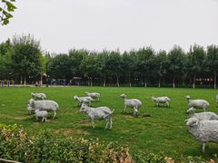 -九十九顶毡房(阜石路店)