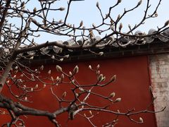 -泰山风景名胜区-普照寺