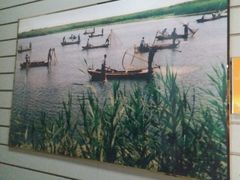-白洋淀景区