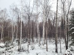 -长白山万达国际滑雪场