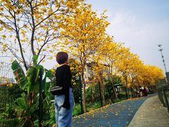 -长洲岛