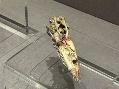 -四川博物院
