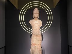 -四川大学博物馆
