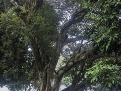 -潮州西湖