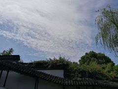-志龙皇冠吃货椰子铺