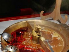 -小龙翻大江文化火锅(宽窄店)