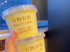 自制酸奶-紫光园(全国总店)