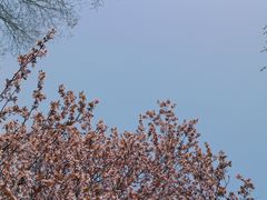 -山东师范大学(千佛山校区)