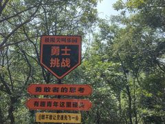 -千岛湖石林
