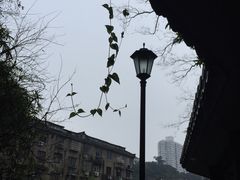 -墨池公园