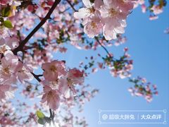 -济南植物园