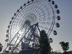 -洋湖国家湿地公园