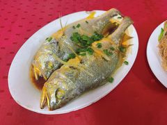 清蒸黄花鱼-蛇口康乐快餐鱼仔档(翠苑小区店)