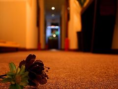 -Together·泰式按摩精油SPA(天山店)