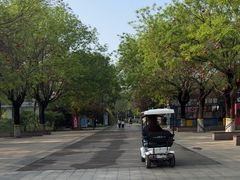 -河北省园博园