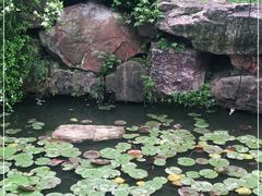 -桃园农庄·桃源宴