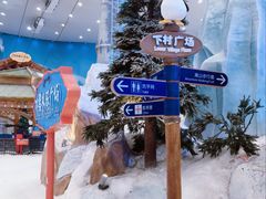 -长沙湘江欢乐雪域