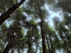 -山王坪喀斯特国家生态公园