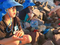 -东戴河风景区-止锚湾