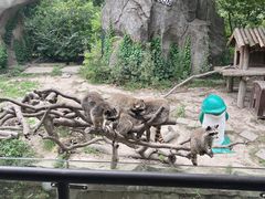 -宁波野生动物园
