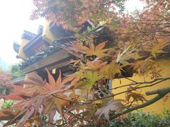 -灵隐飞来峰景区