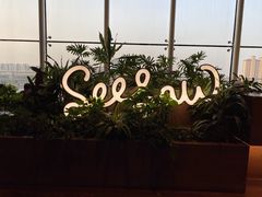 -Seesaw Coffee(朝阳大悦城店)