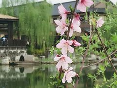-诗经里