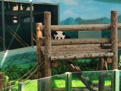 -大连森林动物园