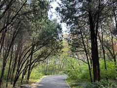 -千佛山风景名胜区