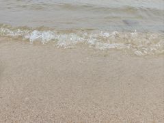 -呼兰河口湿地公园