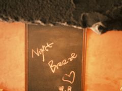 -Night Breeze晚风